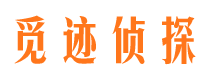 施甸市场调查